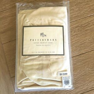 Pottery Barn Neck Roll Bolster Pillow Case Brand New Velvet Beige Tan 6x16